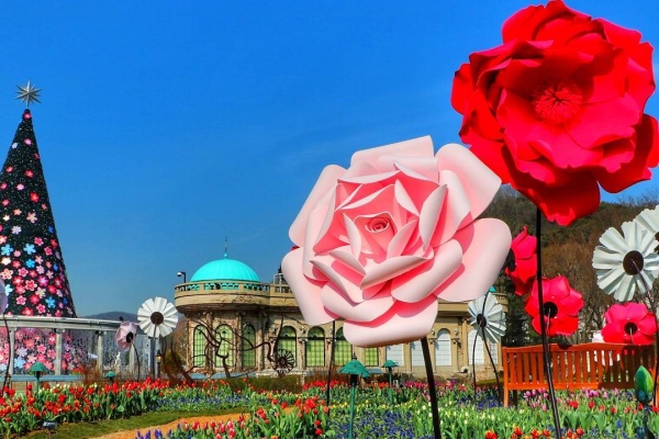 Best places to visit in South Korea! Korea’s Best Springtime Destinations