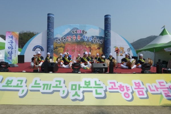 Yangpyeong Sansuyu Flower Festival