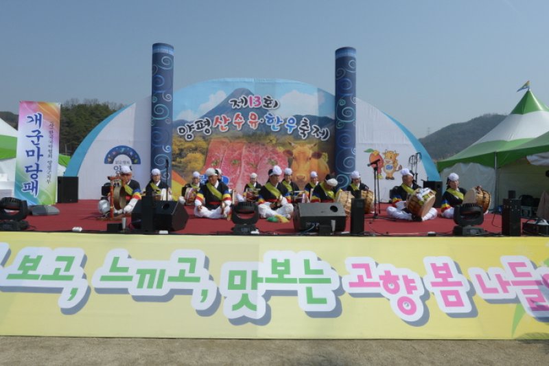 Yangpyeong Sansuyu Flower Festival  (3/4)