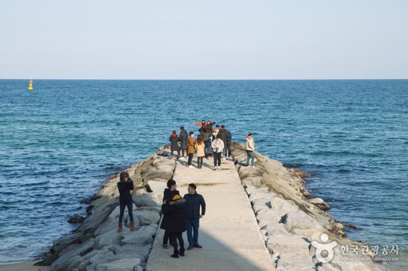 Jumunjin Breakwater  (2/2)