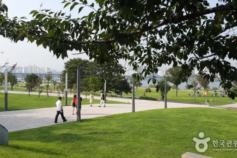 Yeouido Hangang Park (12/12)
