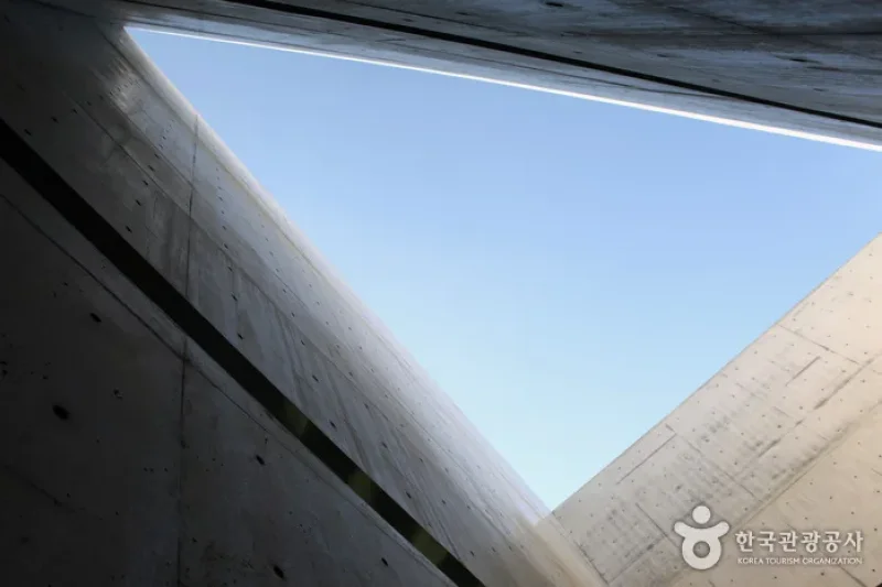 Museum San  (2/6)