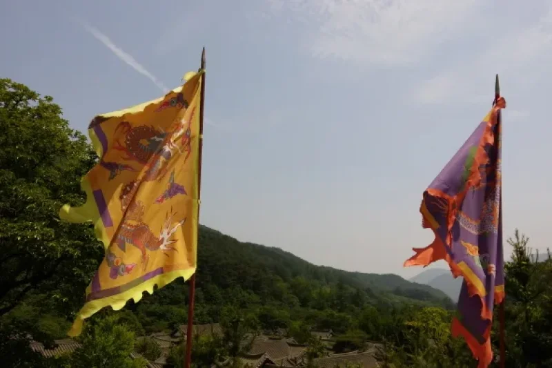 Mungyeongsaejae Open Set  (6/6)