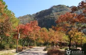 Yongmasan Mountain (용마산)