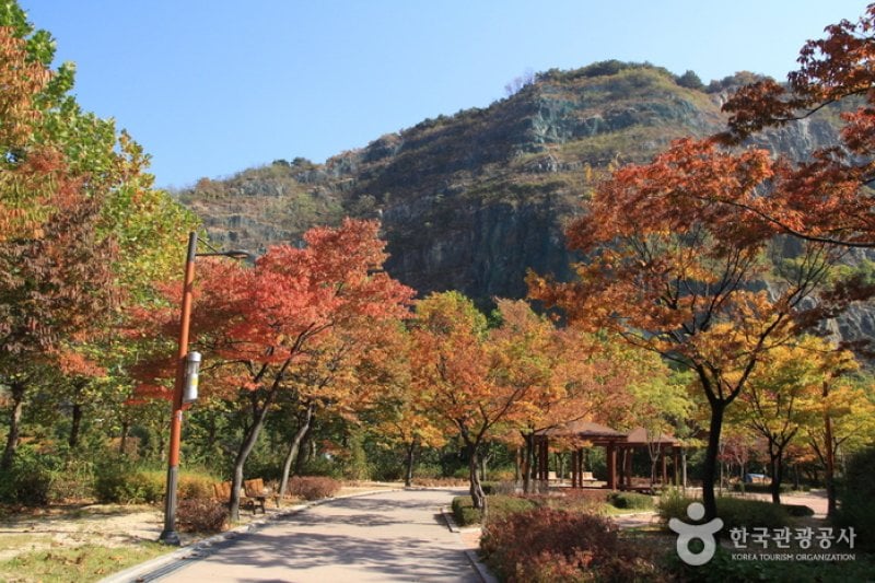 Yongmasan Mountain (용마산) (1/17)