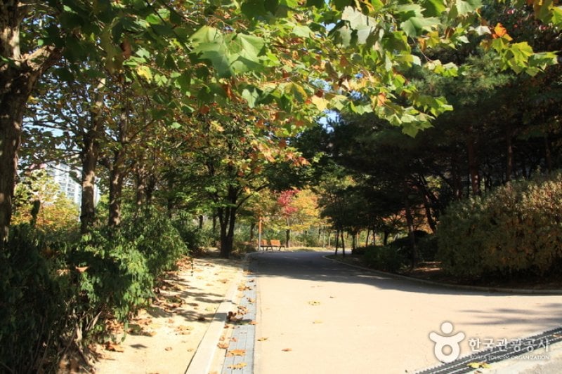 Yongmasan Mountain (용마산) (3/17)