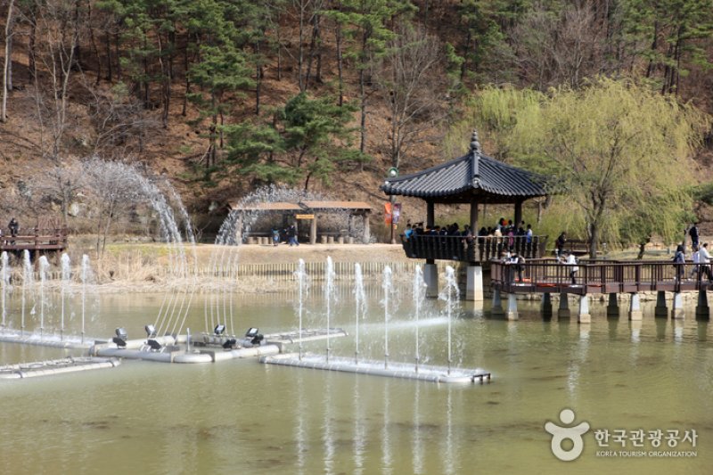 Daegaya History Theme Park  (5/30)