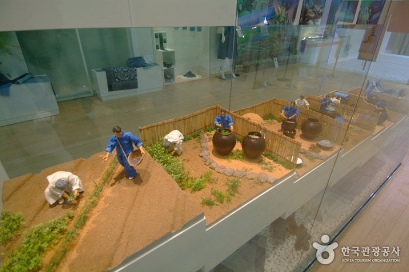 Natural Dyeing Culture Center (한국천연염색박물관)