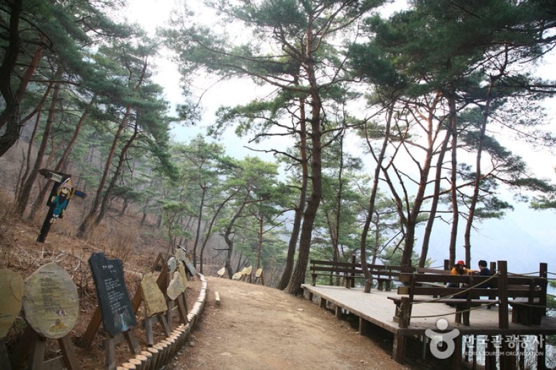 Old Sanmaki Trail (산막이옛길) (1/12)