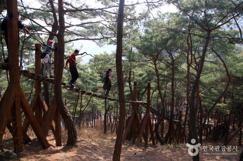 Old Sanmaki Trail (산막이옛길) (2/12)