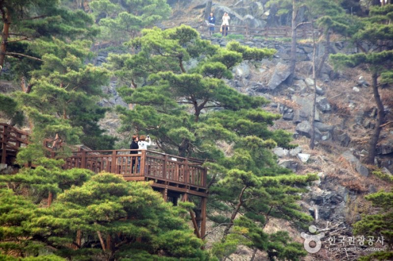 Old Sanmaki Trail (산막이옛길) (12/12)