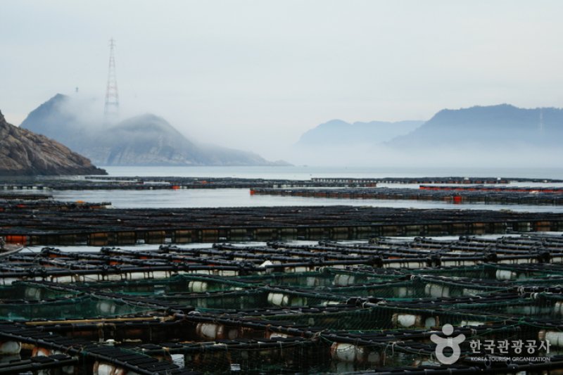 Daedundo Island (대둔도) (4/12)