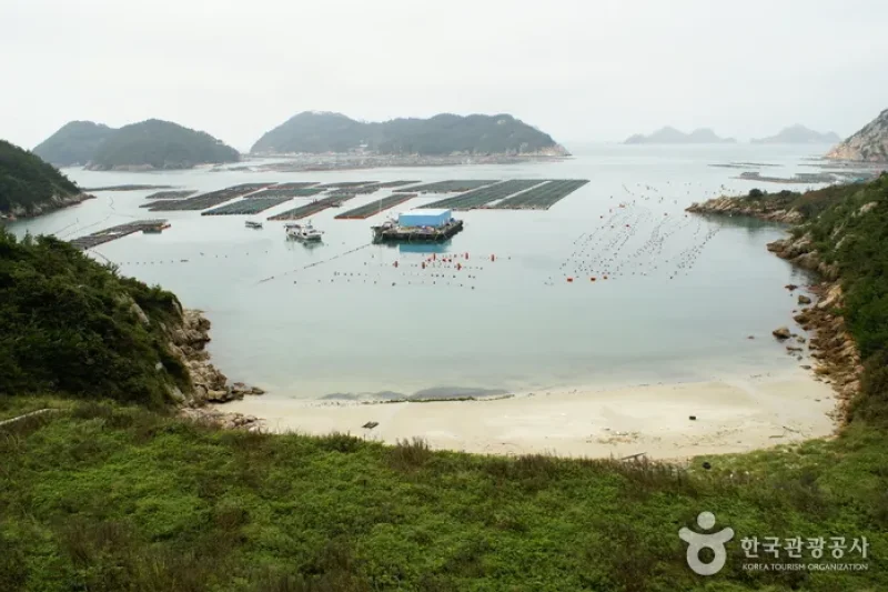 Daedundo Island (대둔도) (9/12)