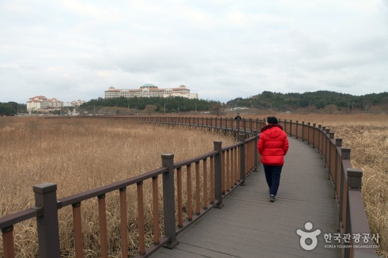 Osan-ri Prehistory Museum  (40/43)