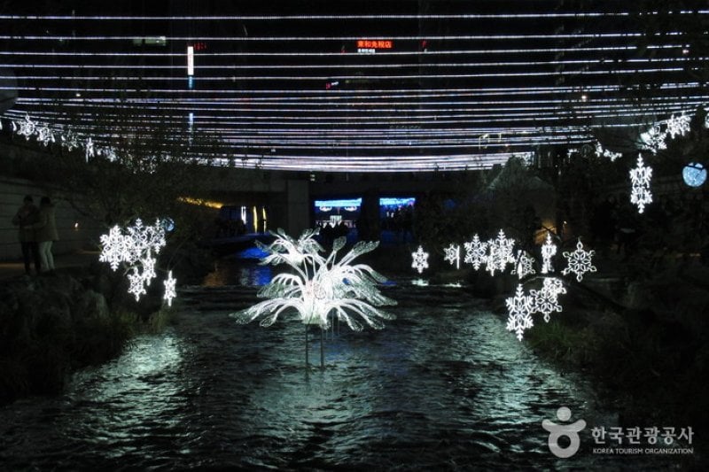 Seoul Christmas Festival  (11/58)