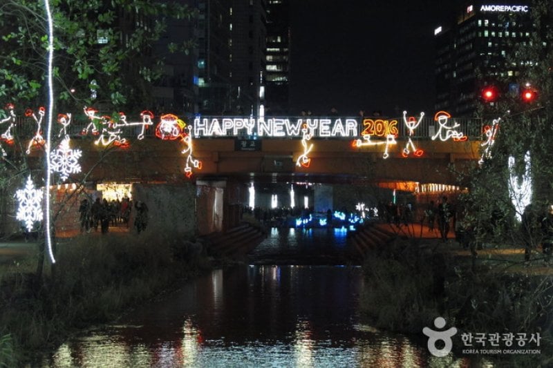 Seoul Christmas Festival  (12/58)