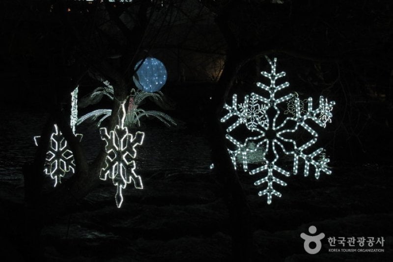 Seoul Christmas Festival  (13/58)