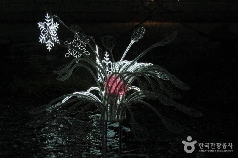 Seoul Christmas Festival  (14/58)