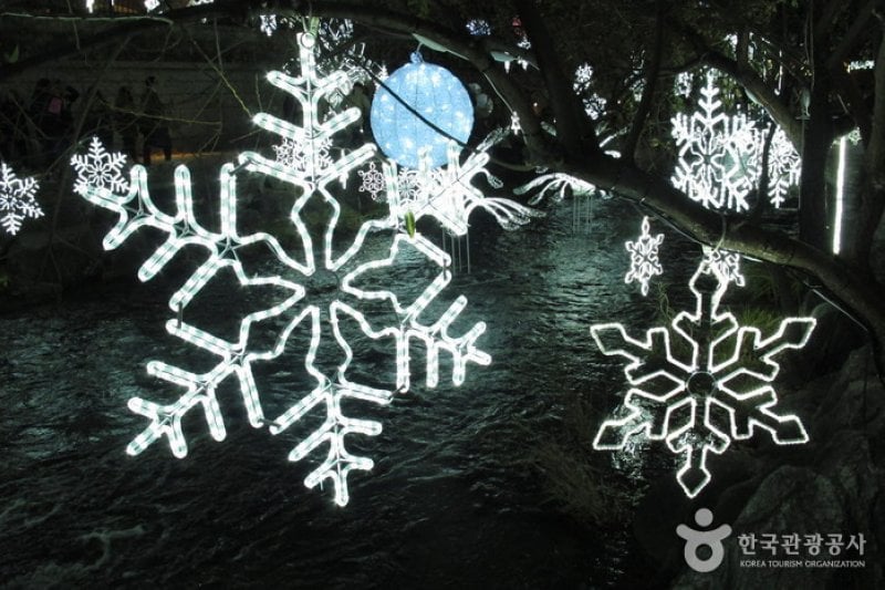 Seoul Christmas Festival  (16/58)