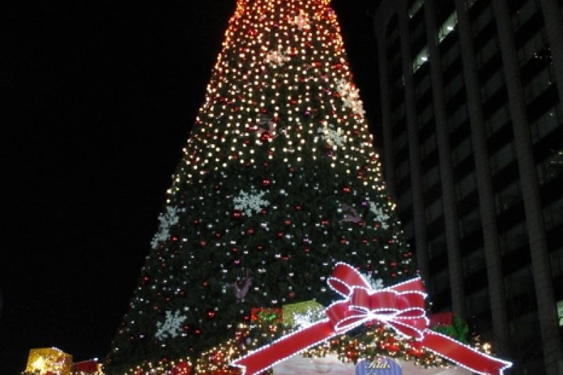 Seoul Christmas Festival  (51/58)