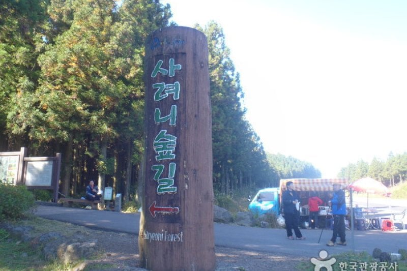Saryeoni Forest Trail  (1/15)