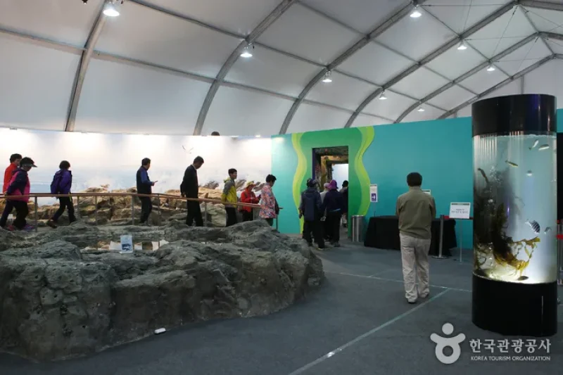 Wando Seaweeds Expo  (9/20)