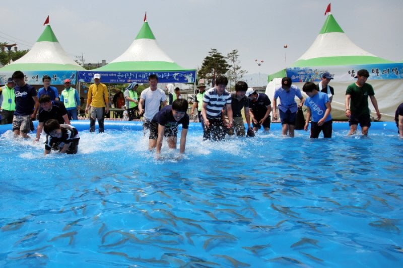 Miryang Arirang Festival  (2/5)