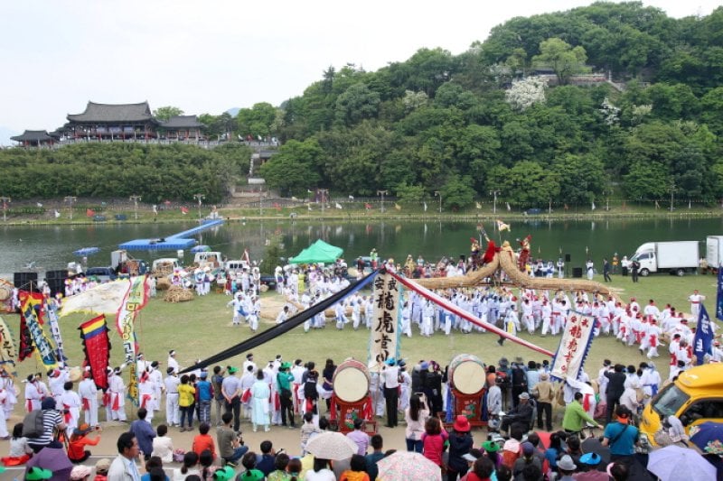 Miryang Arirang Festival  (4/5)