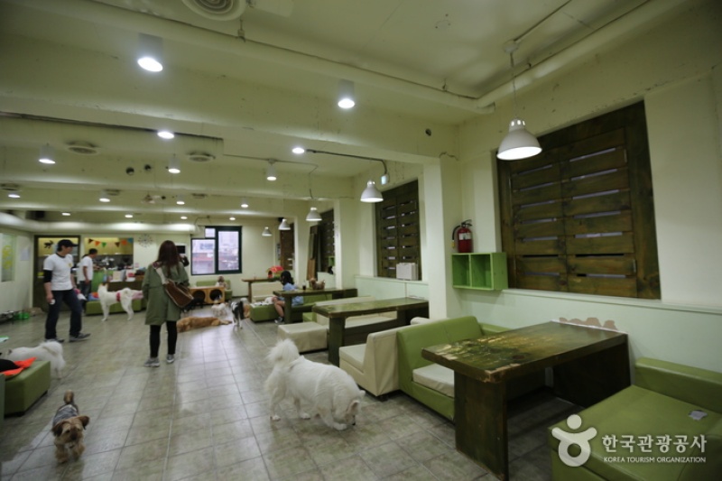 Sunnyne Pet Café  (3/5)