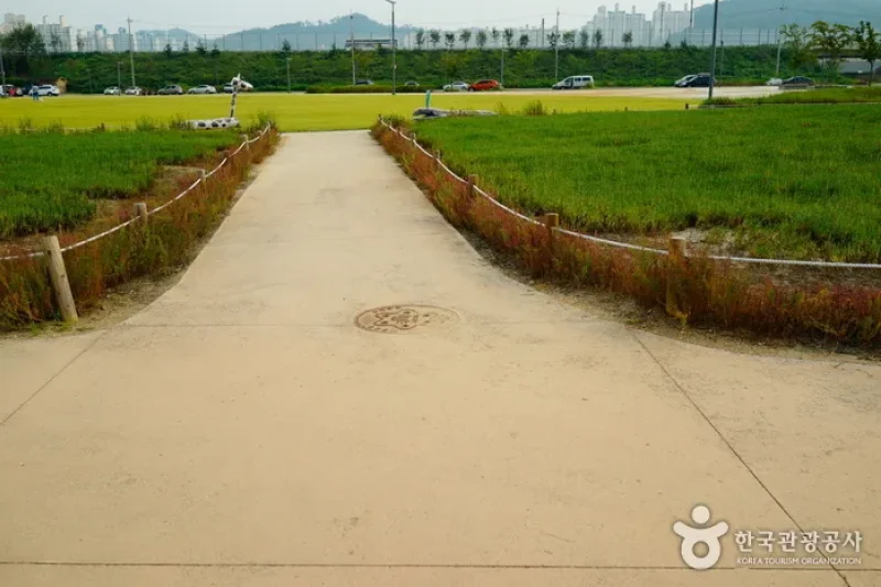 Siheung Gaetgol Eco Park  (6/25)