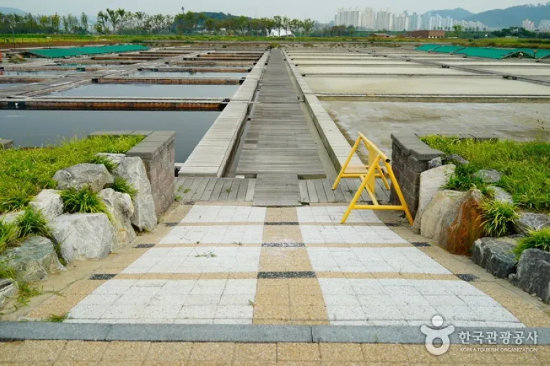 Siheung Gaetgol Eco Park  (10/25)