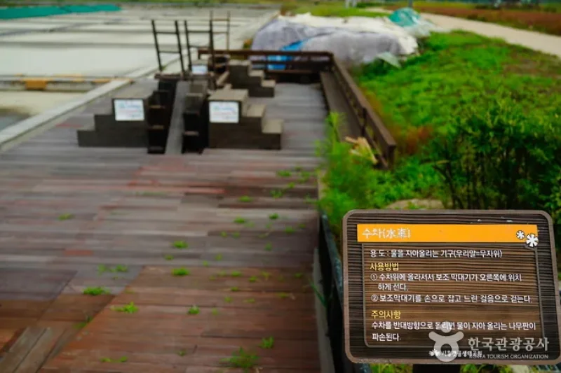 Siheung Gaetgol Eco Park  (11/25)