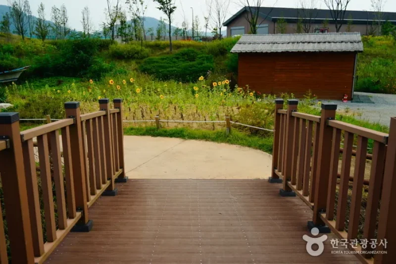 Siheung Gaetgol Eco Park  (12/25)