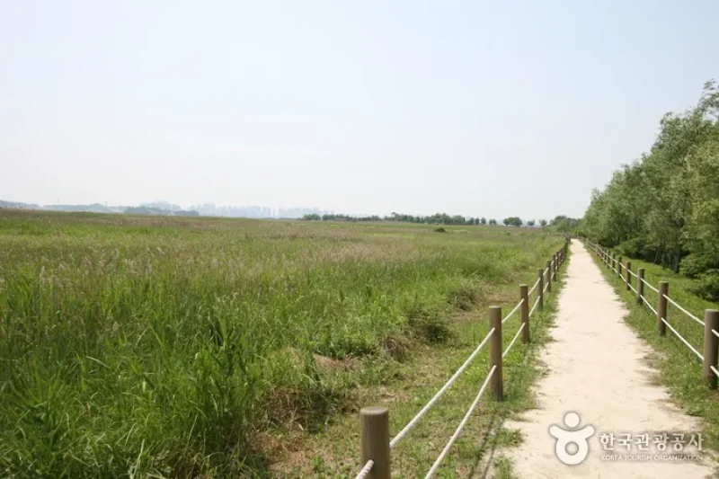 Siheung Gaetgol Eco Park  (15/25)