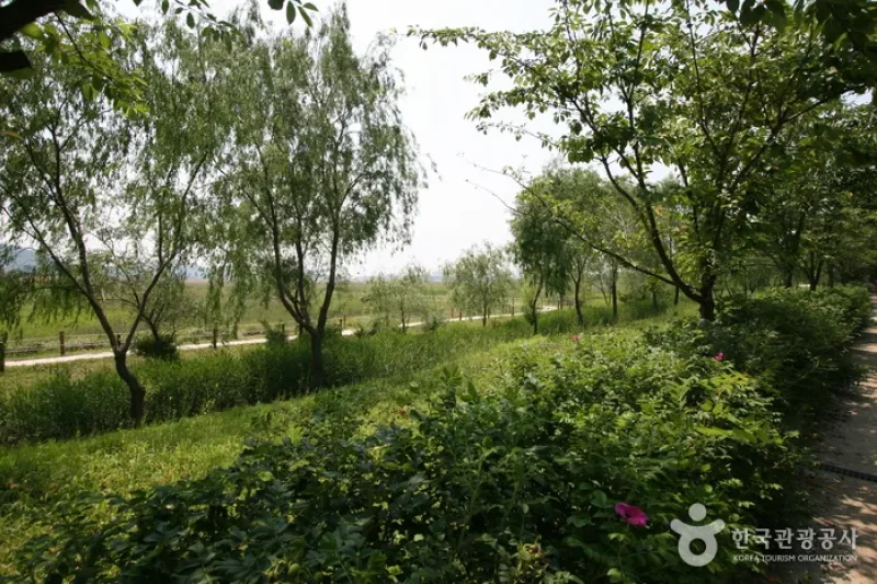 Siheung Gaetgol Eco Park  (16/25)