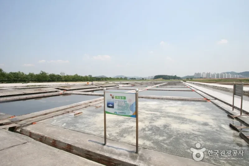 Siheung Gaetgol Eco Park  (17/25)