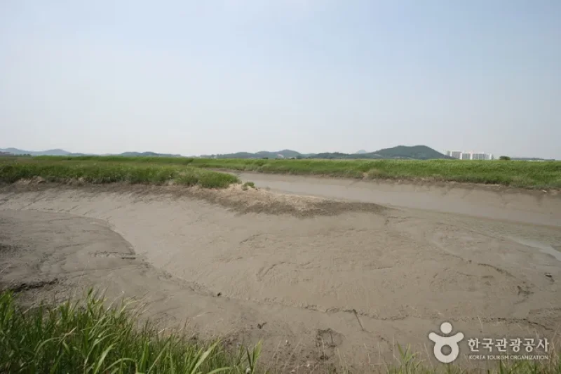 Siheung Gaetgol Eco Park  (19/25)
