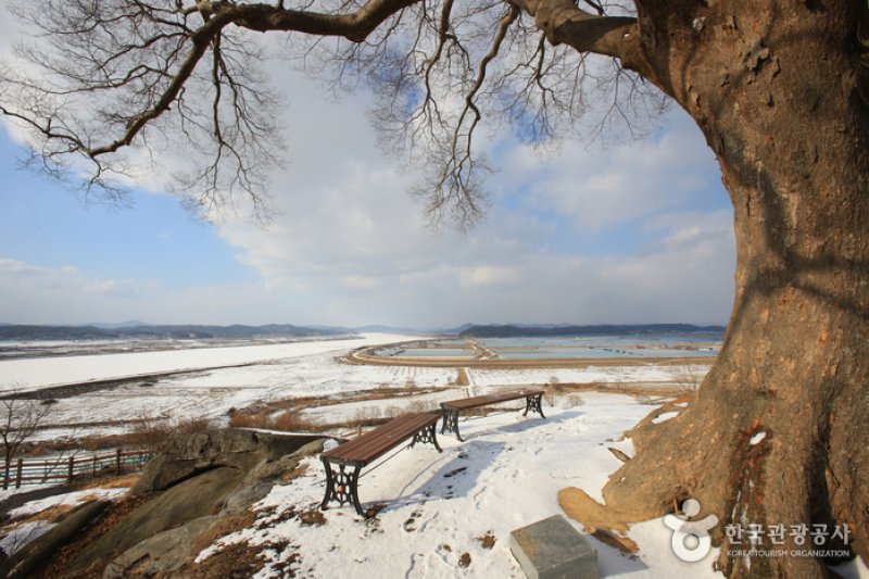 Ganggyeong Oknyeobong Park  (6/24)