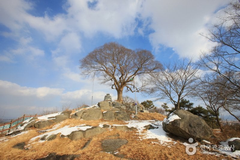Ganggyeong Oknyeobong Park  (9/24)