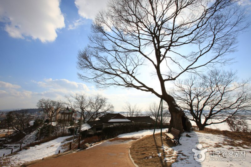 Ganggyeong Oknyeobong Park  (10/24)