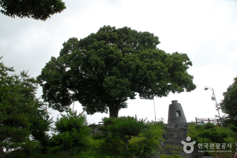 Ganggyeong Oknyeobong Park  (19/24)