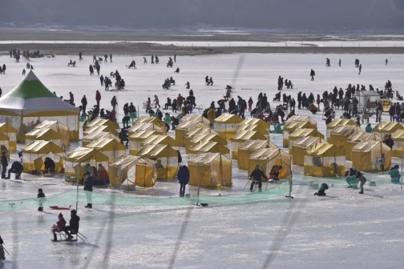Inje Icefish Festival (인제 빙어축제) (13/17)
