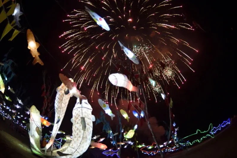 Inje Icefish Festival (인제 빙어축제) (15/17)
