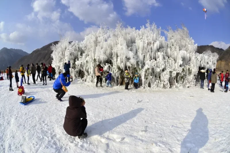 Inje Icefish Festival (인제 빙어축제) (17/17)