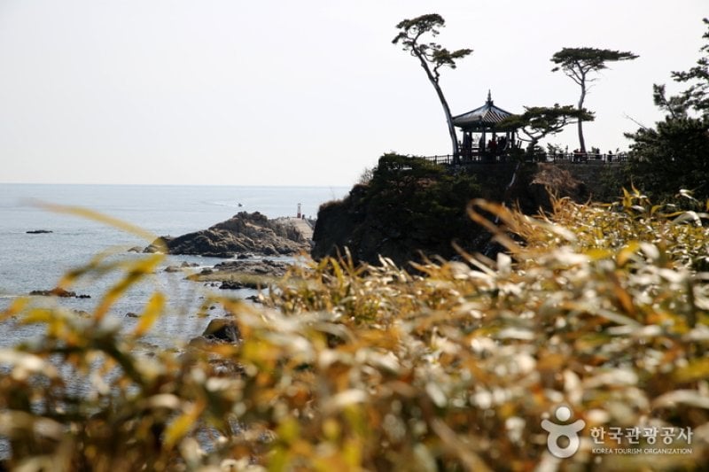 Seorak Special Tourist Zone  (7/14)