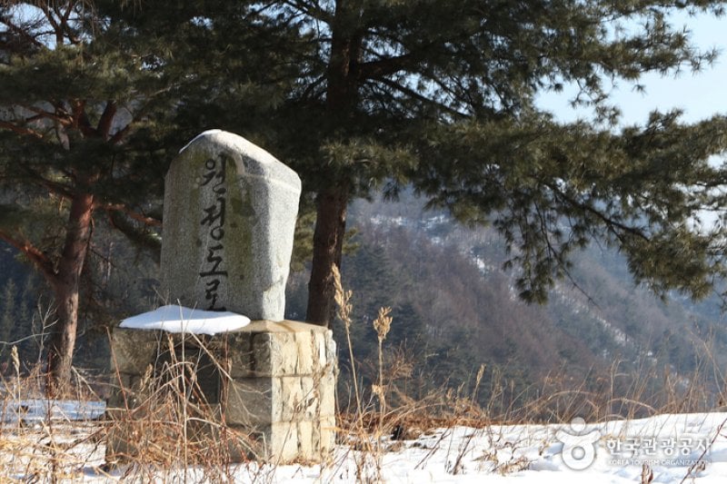 Wondae-ri Birch Forest  (5/27)