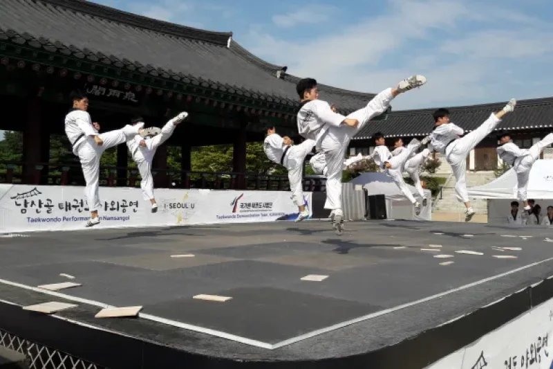 Namsangol Taekwondo Outdoor Performance  (1/5)