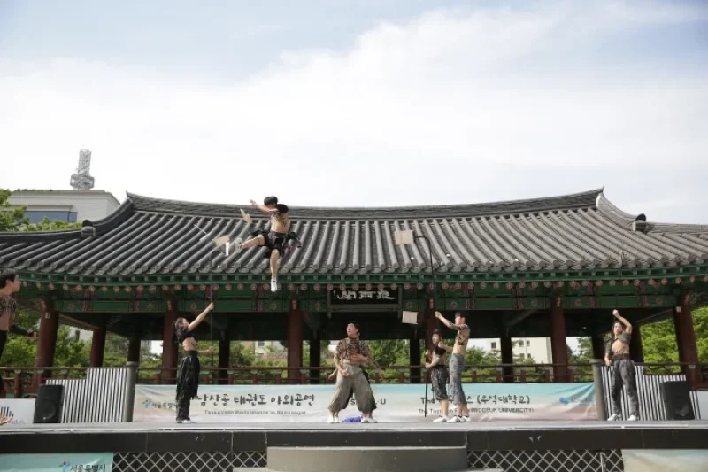 Namsangol Taekwondo Outdoor Performance  (3/5)