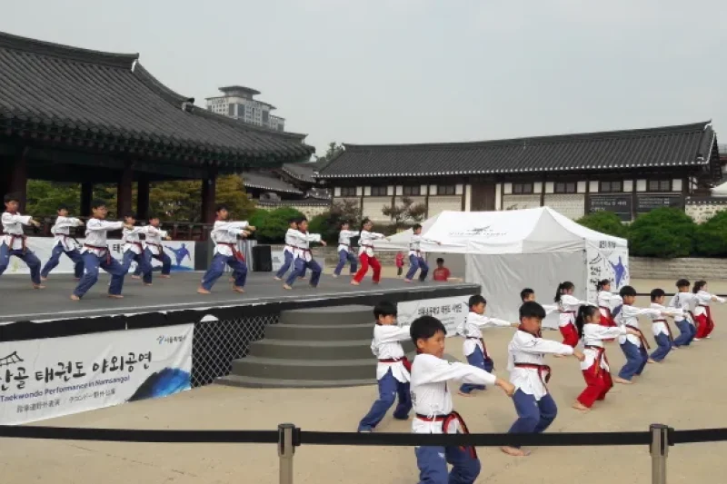 Namsangol Taekwondo Outdoor Performance  (4/5)
