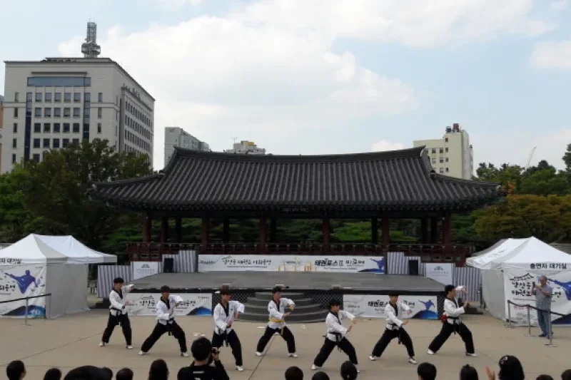 Namsangol Taekwondo Outdoor Performance  (5/5)